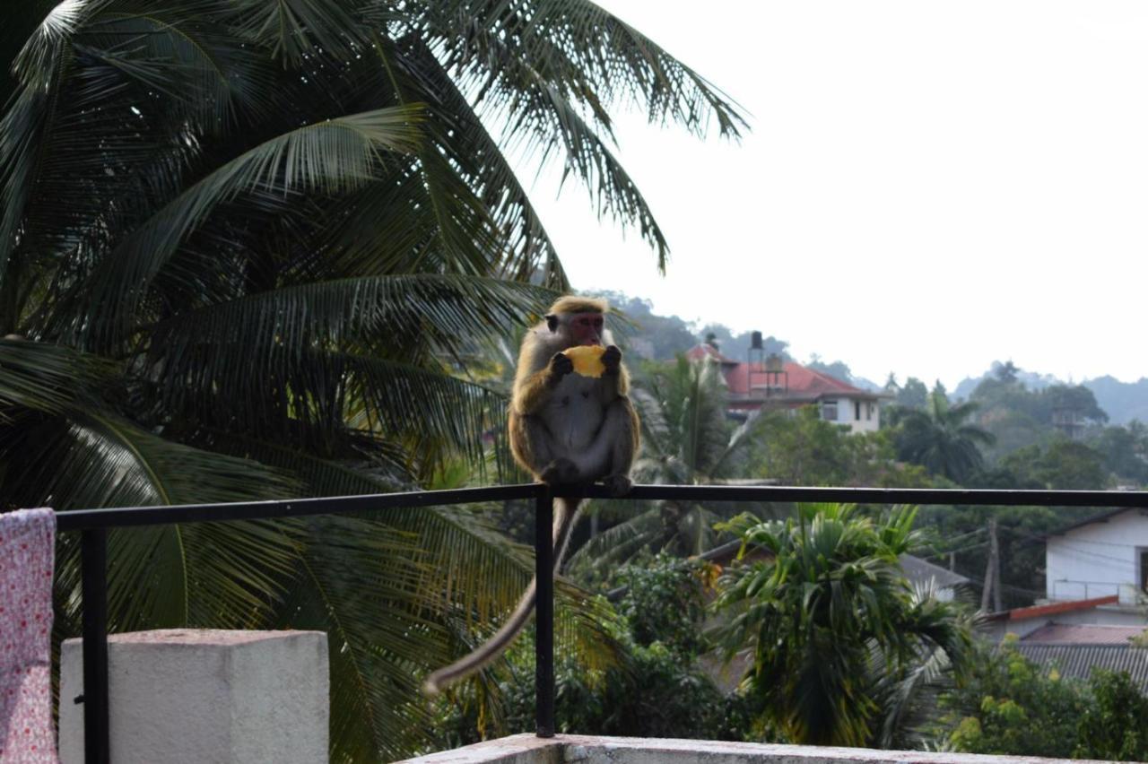Kandy Backpackers Hostel Exterior foto