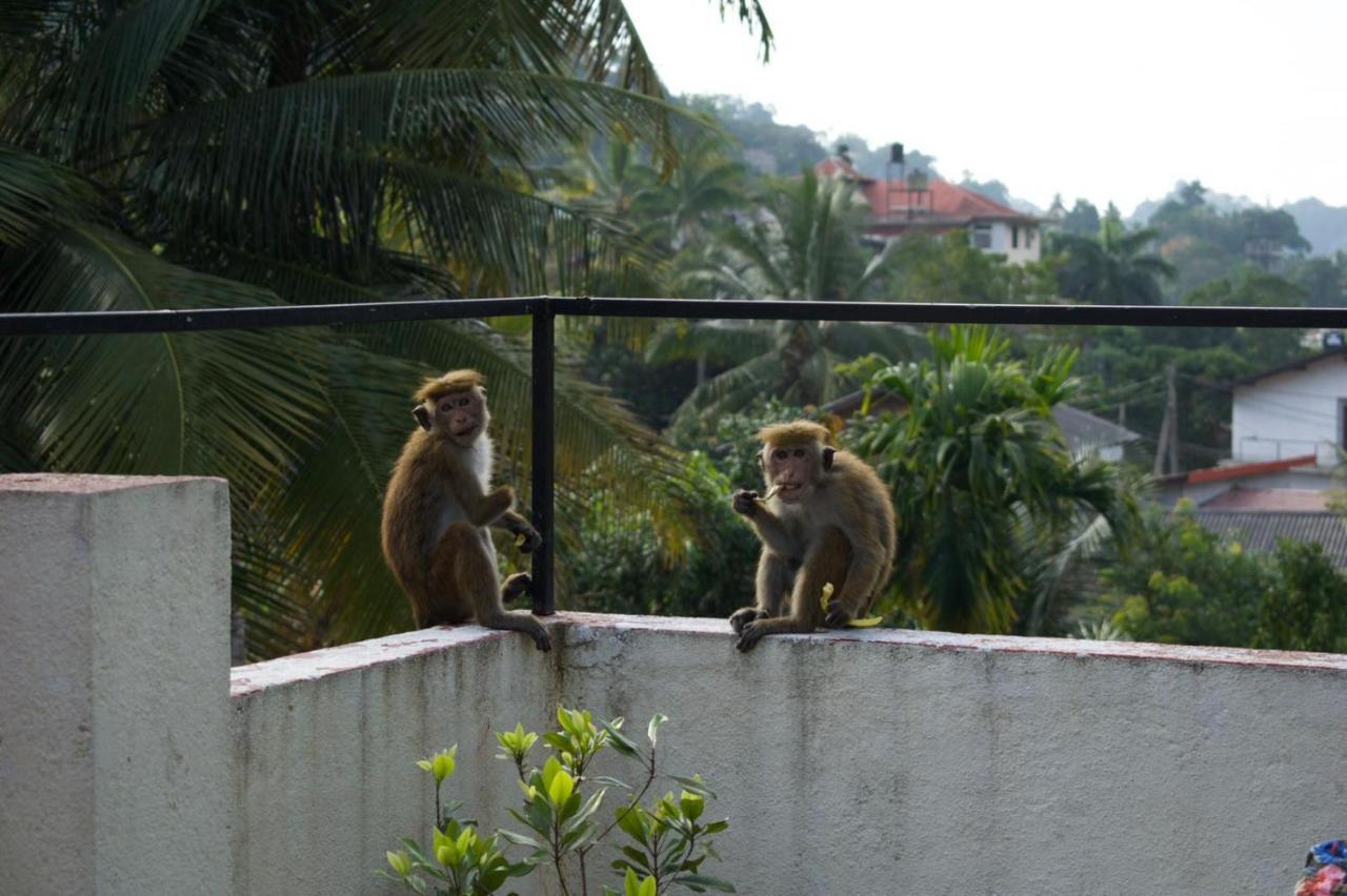 Kandy Backpackers Hostel Exterior foto