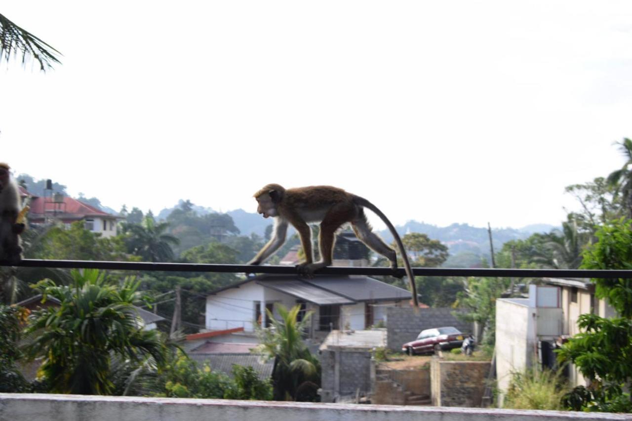 Kandy Backpackers Hostel Exterior foto